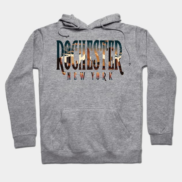 Rochester Skyline Hoodie by coyote